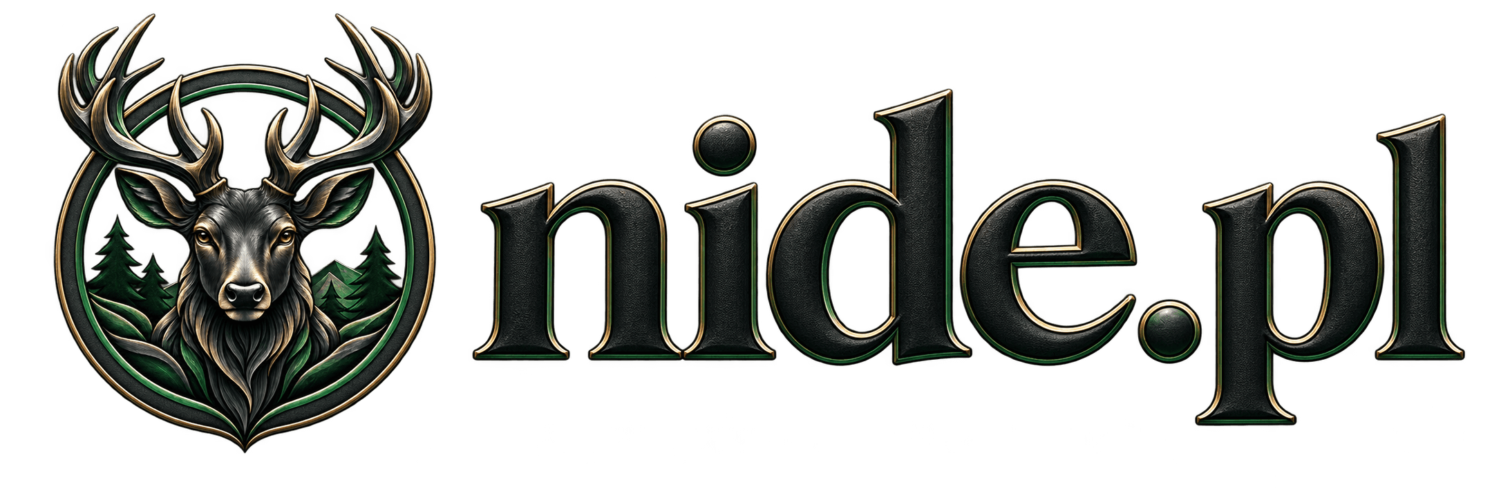 Logo domeny nide.pl